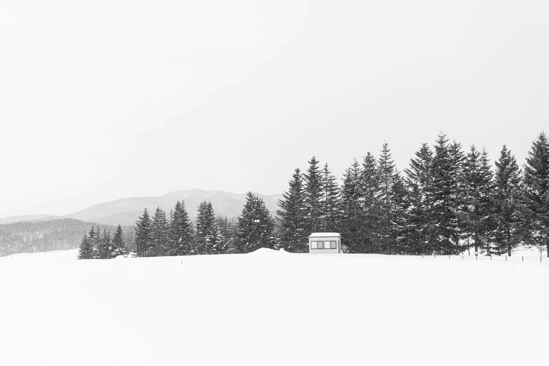 일본 홋카이도 삿포로 자유 여행 체크리스트｜지진 특약 포함 여행자 보험·곰 출몰 많은 계절