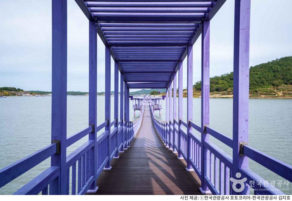 신안 가볼만한곳 퍼플섬 하루 코스 추천｜퍼플교 길이와 뷰포인트 및 가는길·입장료·주차장 꿀팁