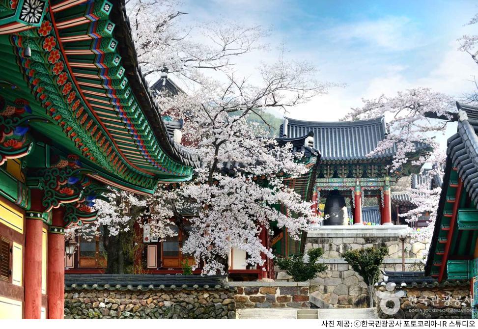 구례 명소 지리산 화엄사 주차장 위치·비용 정리｜가을 단풍 시즌 노고단 코스·템플스테이 예약 방법