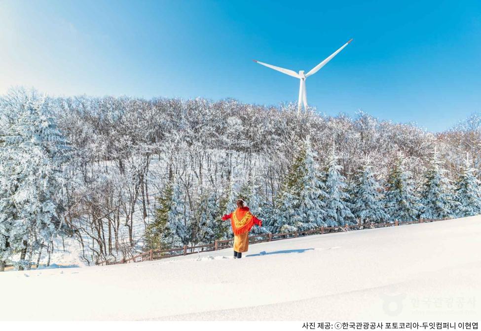 2월 국내 여행지 추천 아이랑 부모님 가족여행 베스트｜장거리·당일치기 코스별 추천 도시