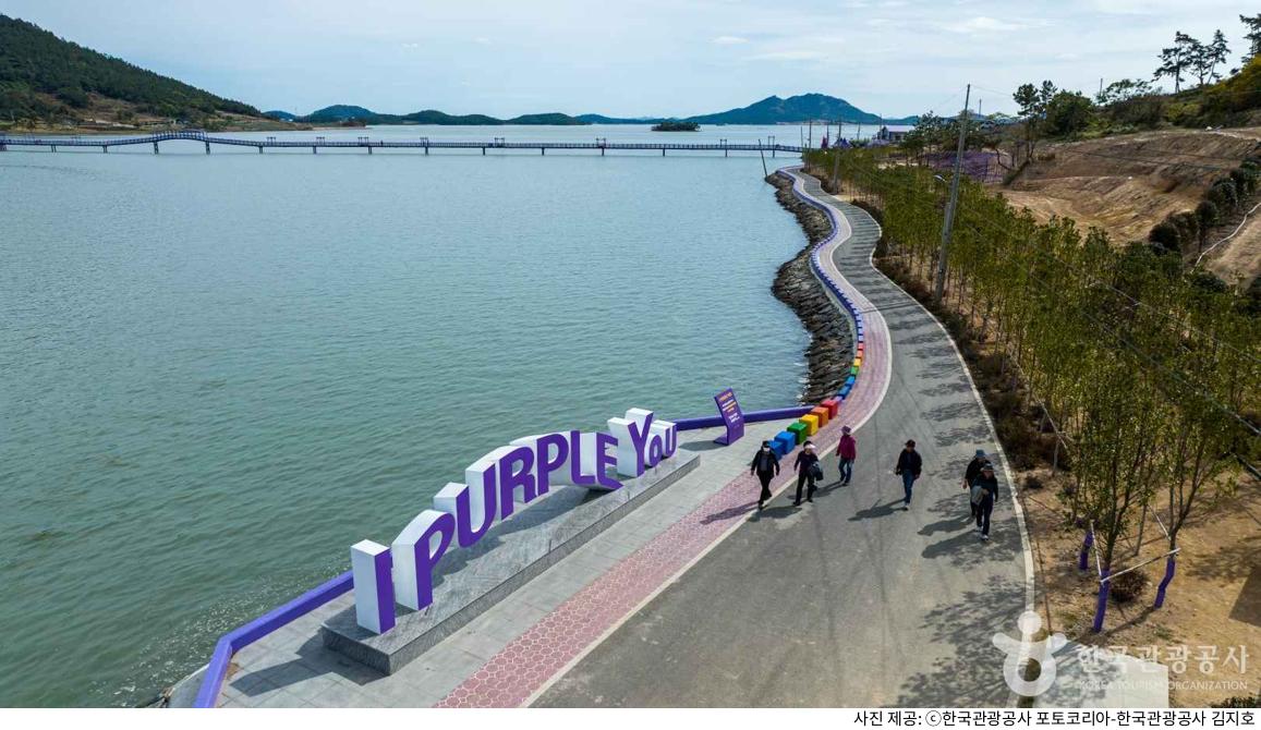 신안 가볼만한곳 퍼플섬 하루 코스 추천｜퍼플교 길이와 뷰포인트 및 가는길·입장료·주차장 꿀팁