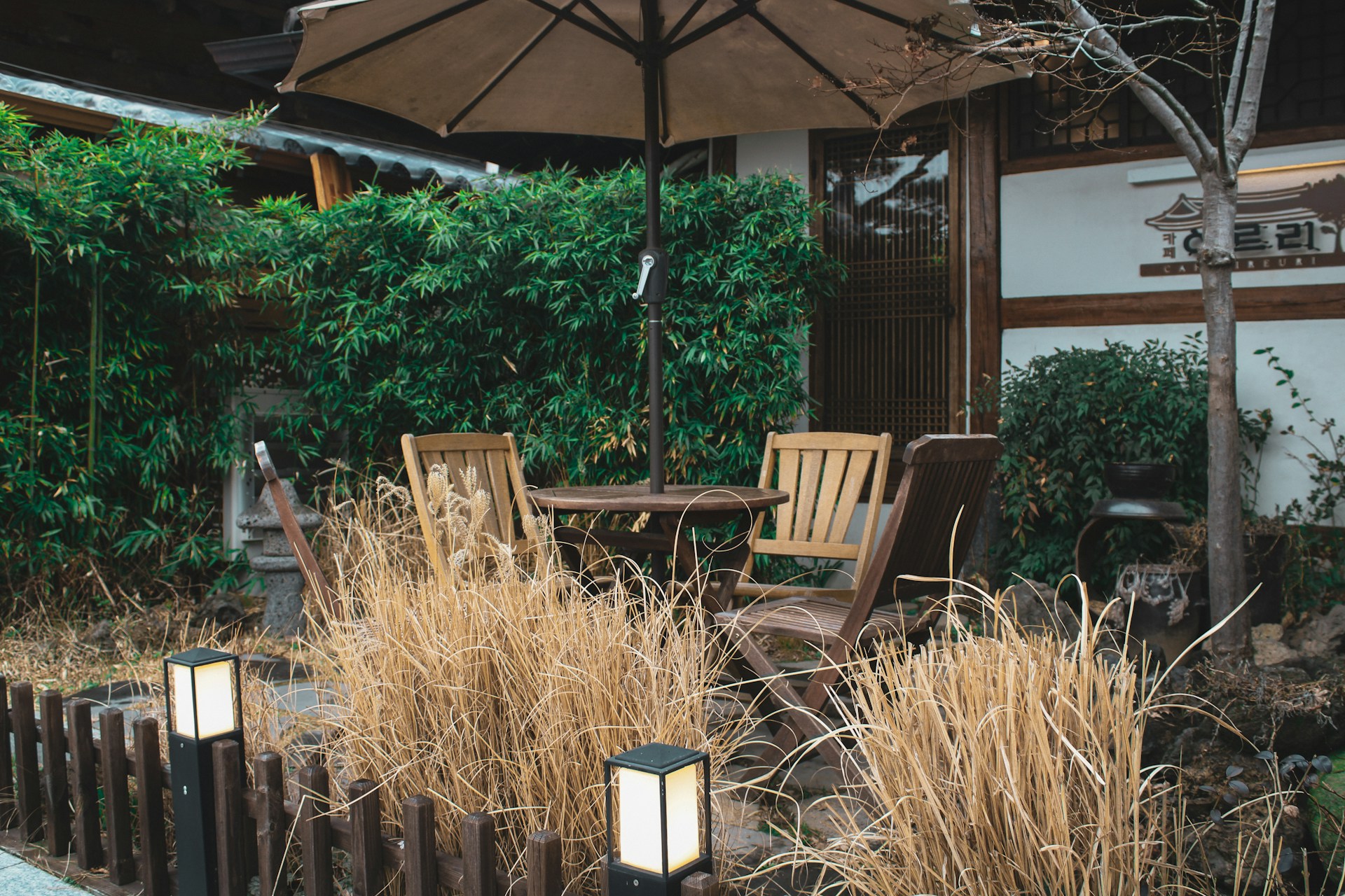 3월 국내 혼자·가족 여행지 베스트 5 추천 리스트｜주말·연차 활용하기 좋은 당일치기·1박2일 코스