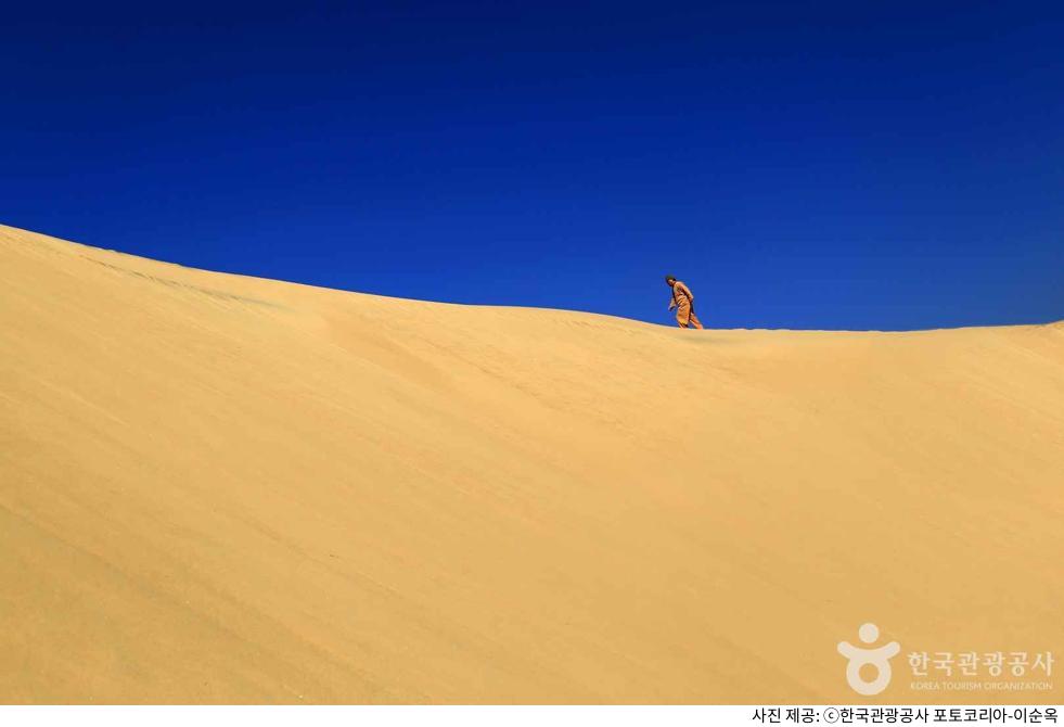 태안 신두리 해안사구 생태여행 코스｜모래언덕 트레킹 동선·주차장 위치·대중교통 가는길·출입 가능 구역·소요시간 정리