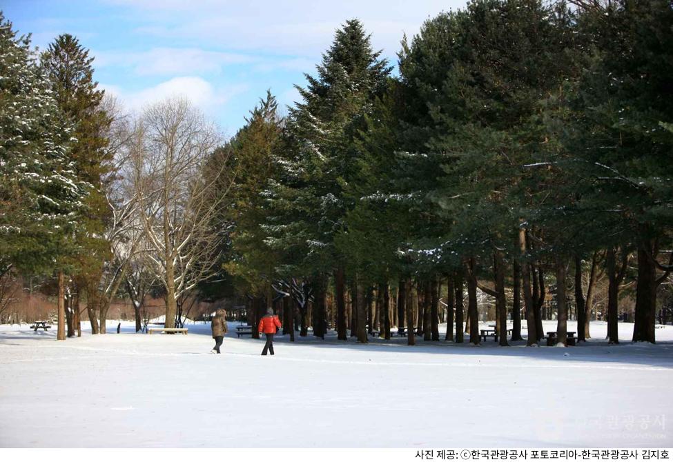 춘천 여행 남이섬 입장권 가격과 예매 방법｜겨울 날씨 확인 필수·배시간·짚라인·아이랑 같이 즐길만한 놀거리 총정리