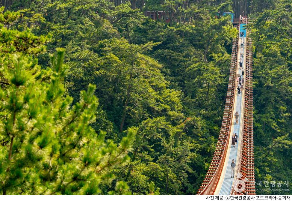 울산 여행 대왕암공원 나들이 코스 추천｜출렁다리 산책로부터 일출·단풍·야경 명소, 오토캠핑장·주차장·애견동반 정보 총정리