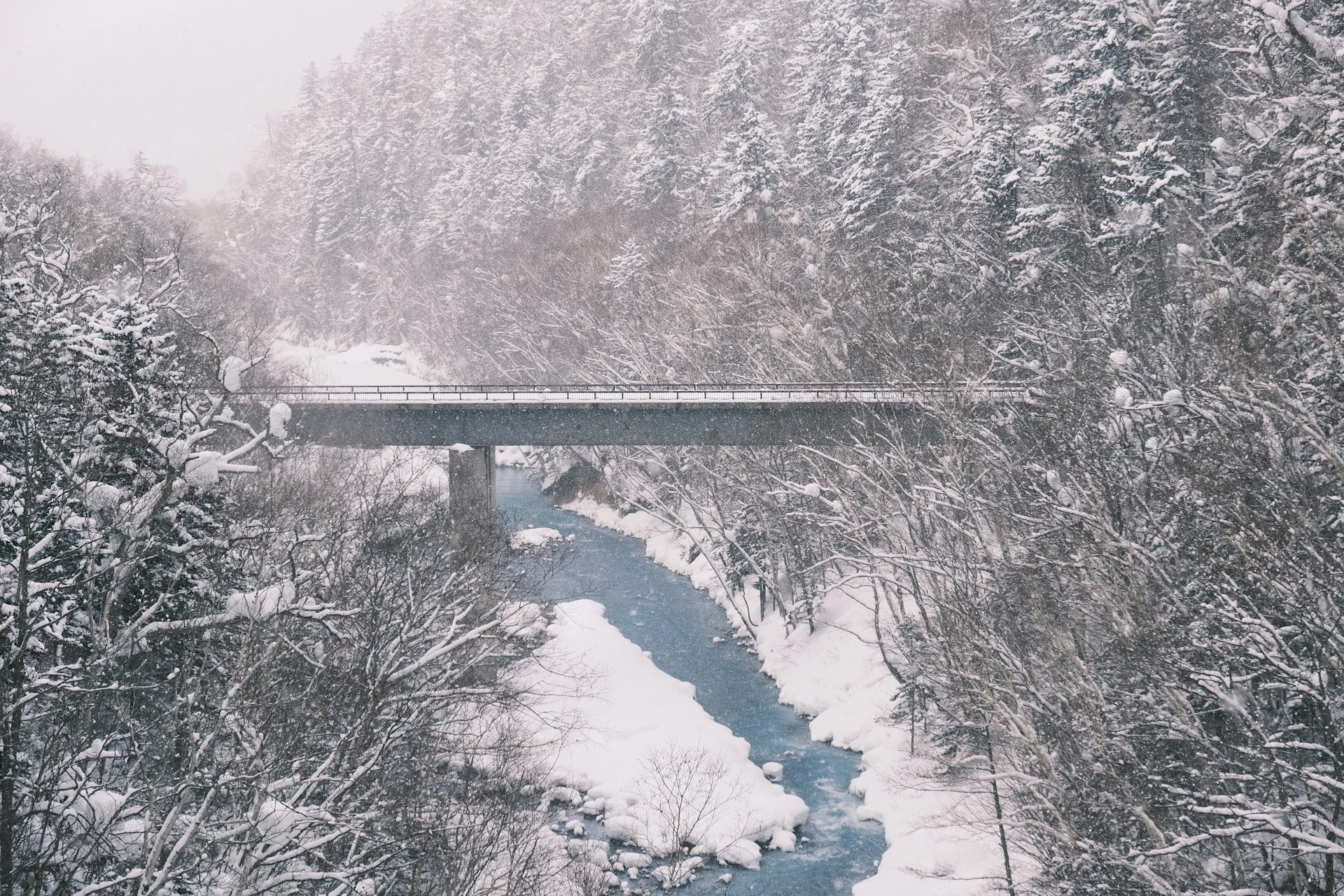 일본 홋카이도 삿포로 자유 여행 체크리스트｜지진 특약 포함 여행자 보험·곰 출몰 많은 계절