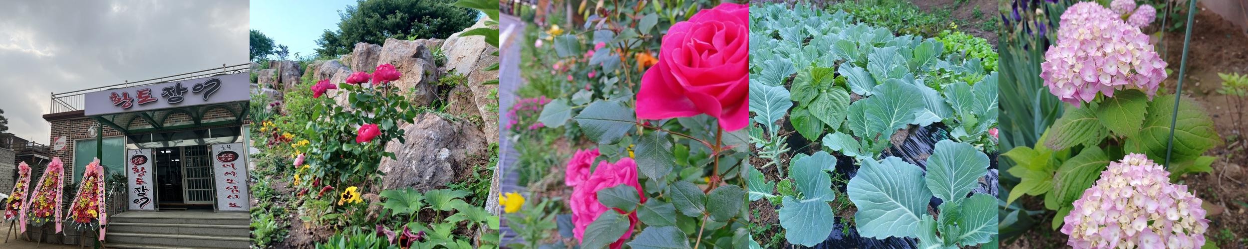 포천 고모리 맛집 베스트 추천 리스트 TOP 10