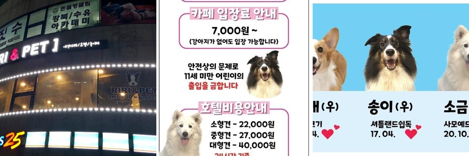 북한산 대형 카페 베스트 추천 리스트 TOP 9 북한산 대형 카페 베스트 추천 리스트 TOP 9