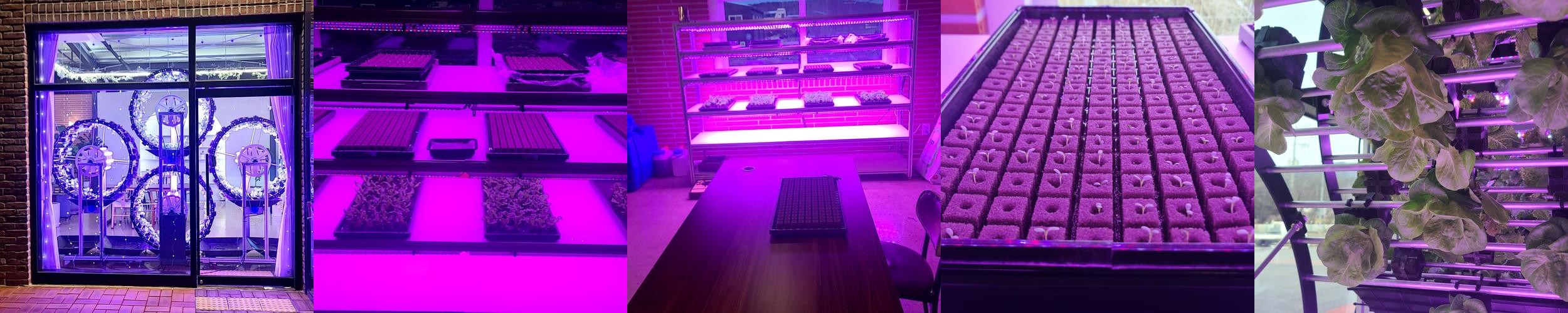 강화도 베이커리 카페 베스트 추천 리스트 TOP 3