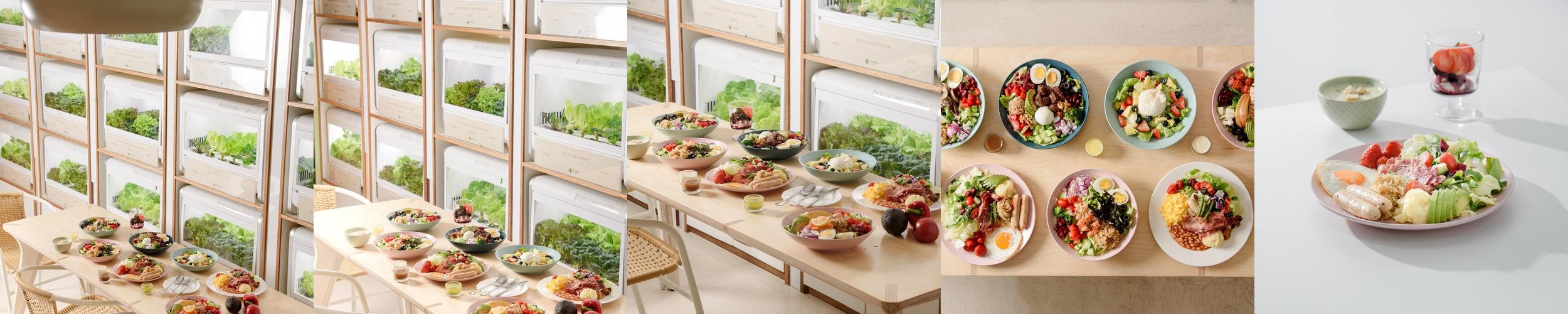 상암동 뷔페 베스트 추천 리스트 TOP 10