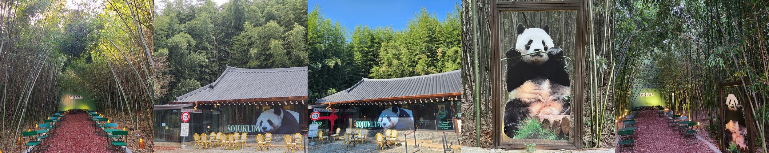 소죽림: 대나무숲 속 아늑한 카페|남평 카페 추천 소죽림: 대나무숲 속 아늑한 카페