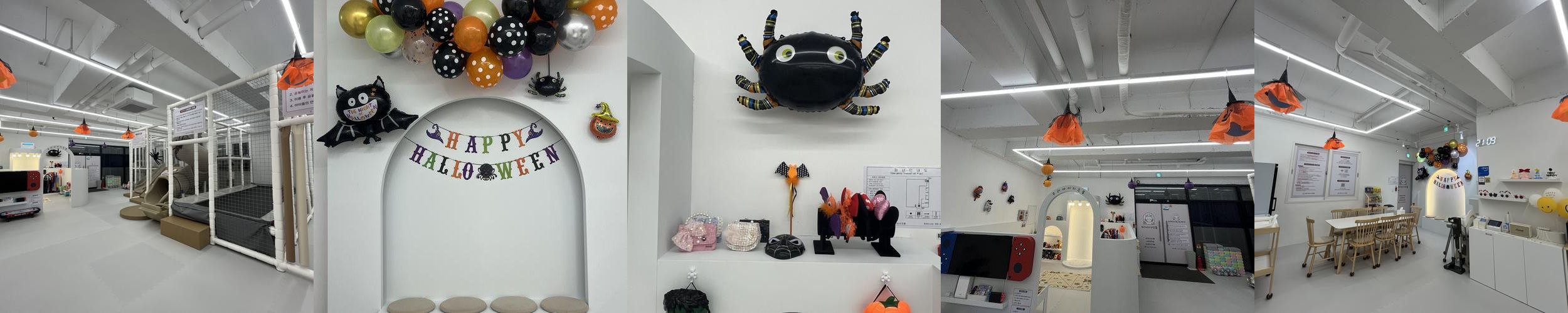 여수 파티룸 베스트 추천 리스트 TOP 10 여수 파티룸 베스트 추천 리스트 TOP 10