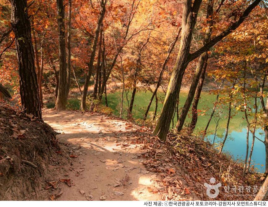 강원도 횡성호수길 5구간 단풍 명소｜드라이브 후 산책하기 좋은 주차 장소·이용 시간·입장료·반려견 동반 및 산책로 정리