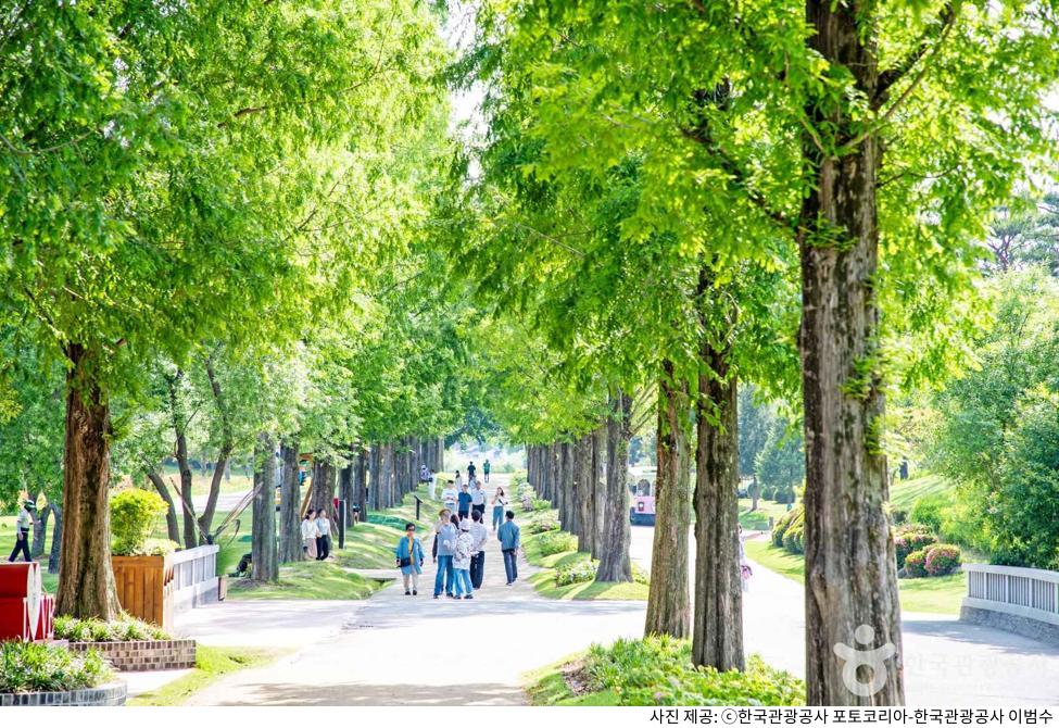 순천만국가정원 여행 코스 추천｜스카이큐브·관람차·모노레일 예약 팁·입장료·주차장·자전거 대여·반려견 출입 여부