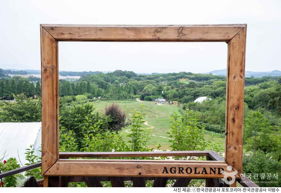 예산 아그로랜드 태신목장 아이와 가볼만한 곳｜유모차·애견 동반 가능 여부·체험 프로그램·운영시간·주차·입장료·준비물 안내