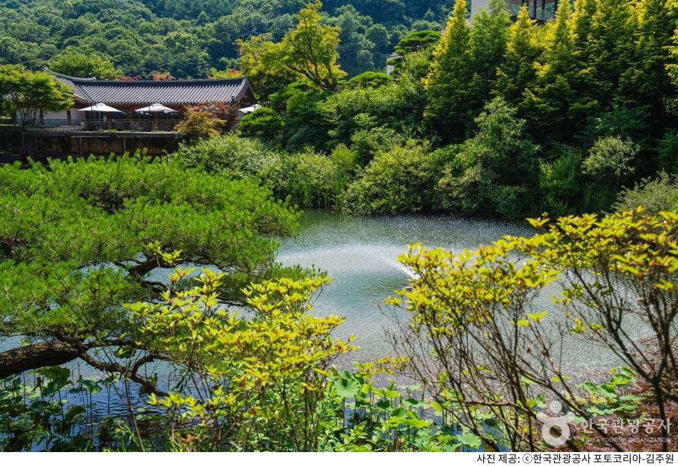 광주 곤지암 화담숲 완전정복|입장료·예약 방법·모노레일 이용 꿀팁·주차장 위치·단풍 시기·주변 관광지 코스 총정리 광주 곤지암 화담숲 완전정복|입장료·예약 방법·모노레일 이용 꿀팁·주차장 위치·단풍 시기·주변 관광지 코스 총정리