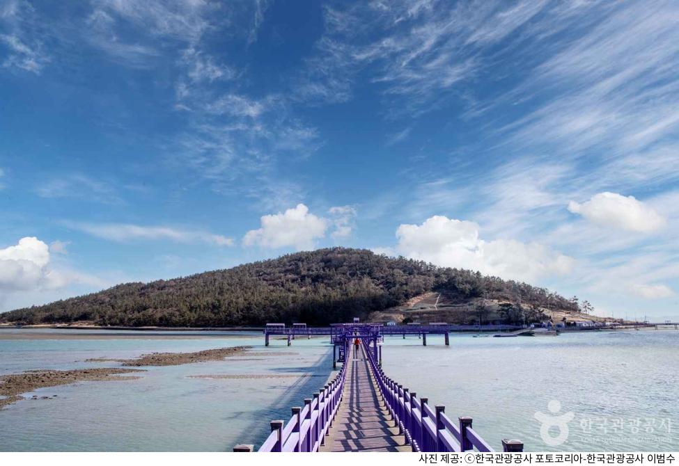 신안 가볼만한곳 퍼플섬 하루 코스 추천｜퍼플교 길이와 뷰포인트 및 가는길·입장료·주차장 꿀팁