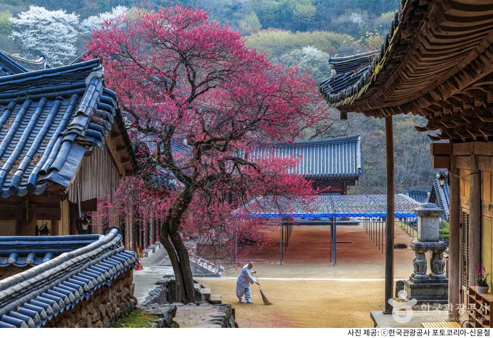 구례 명소 지리산 화엄사 주차장 위치·비용 정리｜가을 단풍 시즌 노고단 코스·템플스테이 예약 방법
