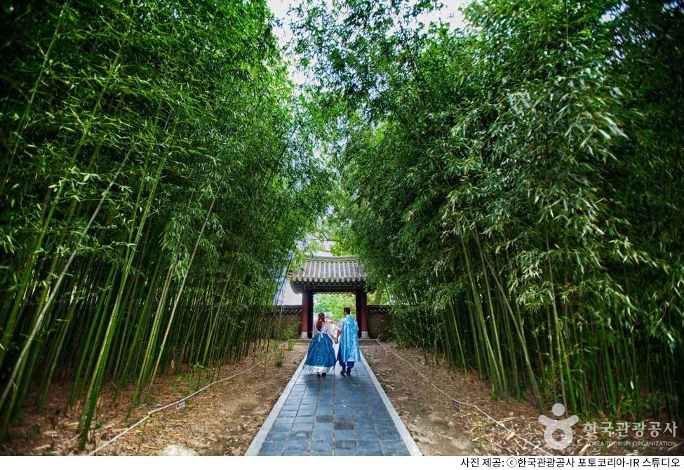 전주 한옥마을 1박 2일 여행 코스｜근처 가볼만한곳·볼거리·한복대여·체험까지 꽉 채운 일정 추천