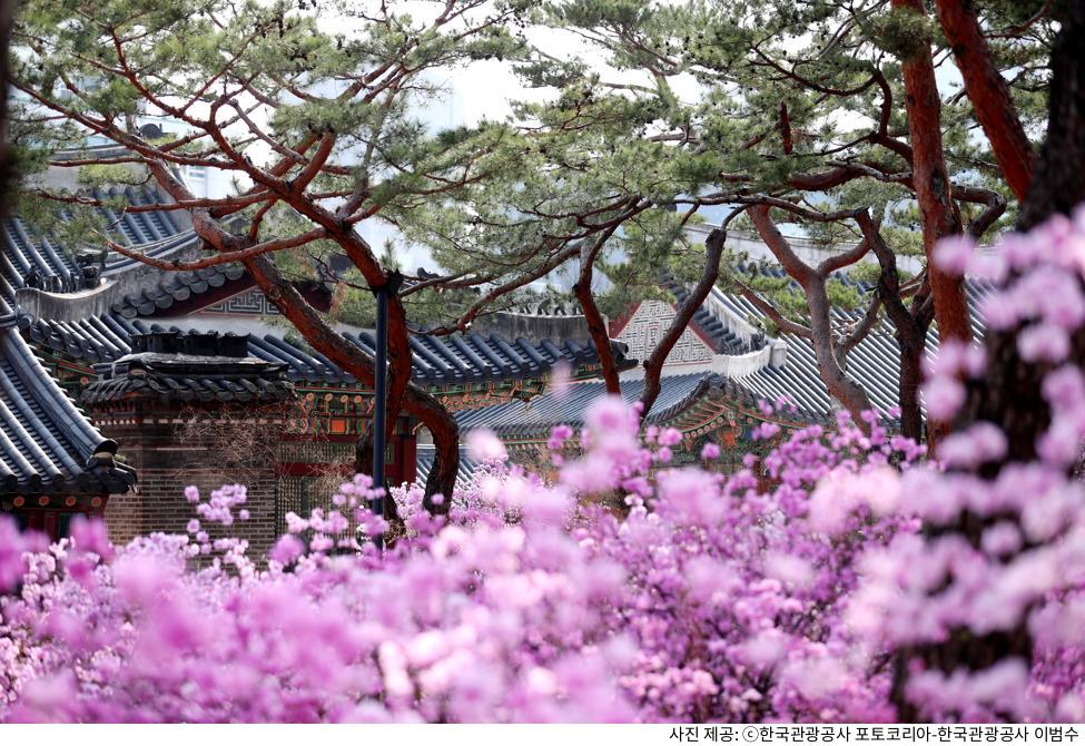 덕수궁 돌담길 데이트 코스 추천｜입장료·관람시간·야간개장 및 사진 스팟 포토존 위치