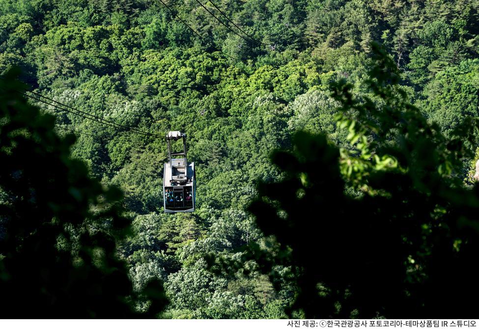 설악산 케이블카 예약부터 탑승까지｜주차장 위치·가격·운영시간·할인·정상 코스
