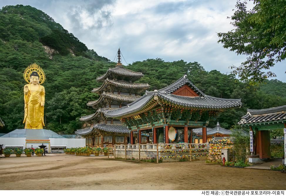 보은 법주사 가족 여행 추천 코스｜팔상전 목탑·대웅보전 필수 관람·주차장 위치·템플스테이 예약 방법