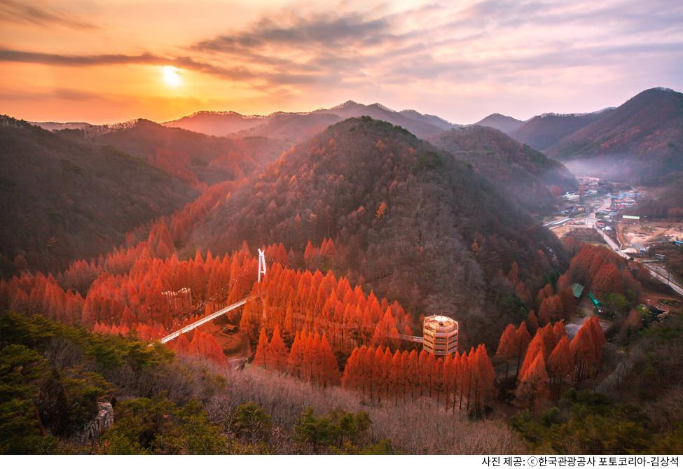 대전 가볼만한곳 장태산 자연휴양림｜무료 입장·주차·메타세쿼이아 숲길 추천 코스