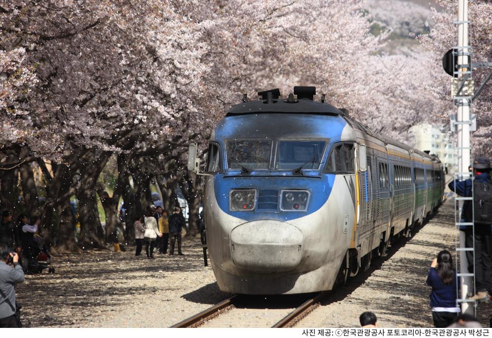 봄에 꼭 가야 할 4월 국내 여행 코스 추천|벚꽃 시즌 절정 명소 & 한적한 힐링 여행지 봄에 꼭 가야 할 4월 국내 여행 코스 추천|벚꽃 시즌 절정 명소 & 한적한 힐링 여행지