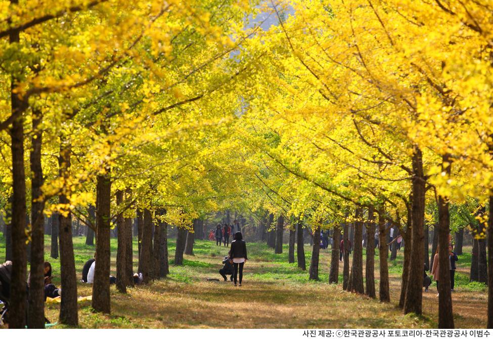 봄에 꼭 가야 할 4월 국내 여행 코스 추천|벚꽃 시즌 절정 명소 & 한적한 힐링 여행지 봄에 꼭 가야 할 4월 국내 여행 코스 추천|벚꽃 시즌 절정 명소 & 한적한 힐링 여행지