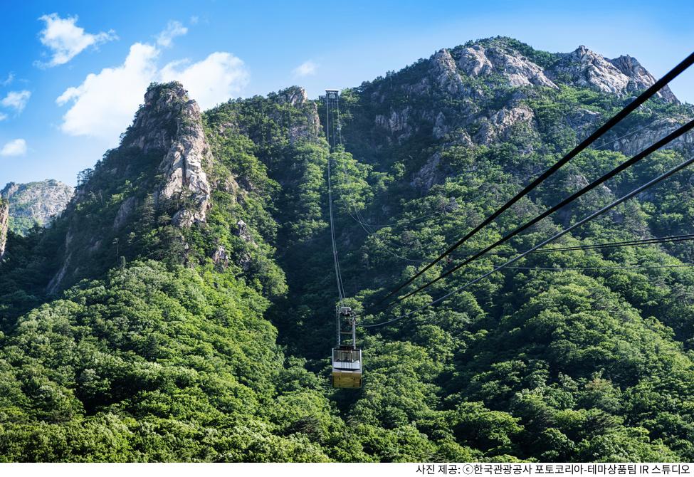 설악산 케이블카 예약부터 탑승까지｜주차장 위치·가격·운영시간·할인·정상 코스