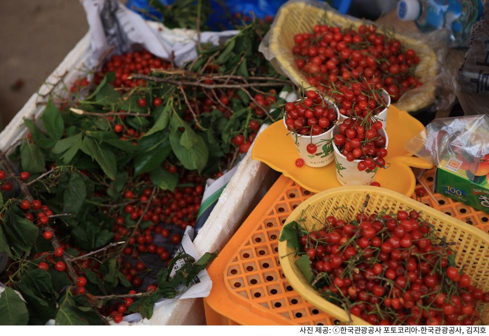 경남 하동 가볼만한곳 화개장터|장날 시간·주차장 위치·벚꽃 시즌·시장 먹거리 추천 코스 정보 경남 하동 가볼만한곳 화개장터|장날 시간·주차장 위치·벚꽃 시즌·시장 먹거리 추천 코스 정보
