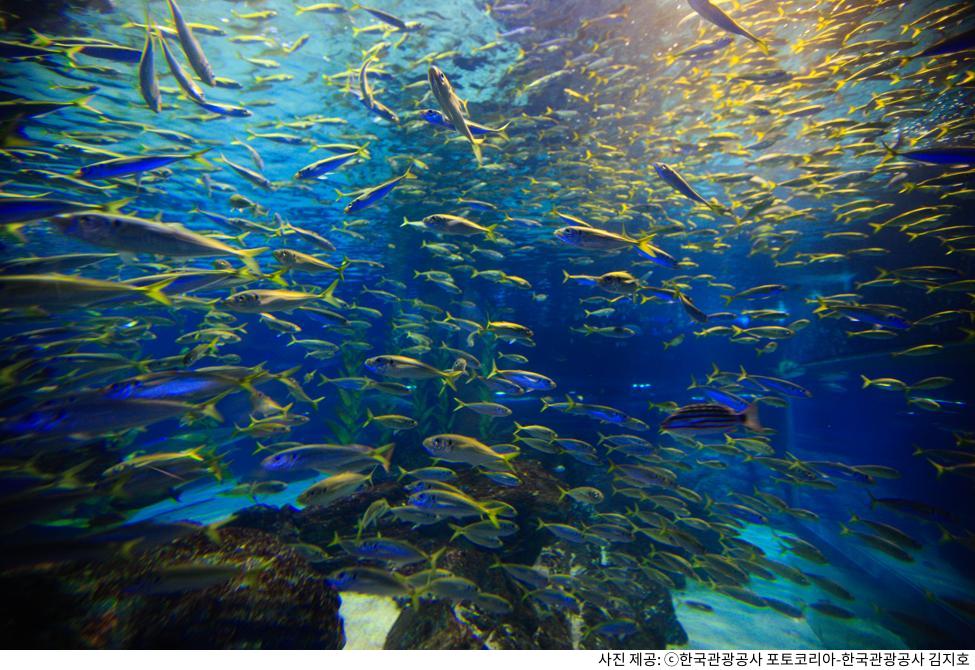 아이와 함께 가기 좋은 5월 국내 여행지 추천 코스|체험형 관광지·동물원·테마파크 아이와 함께 가기 좋은 5월 국내 여행지 추천 코스|체험형 관광지·동물원·테마파크