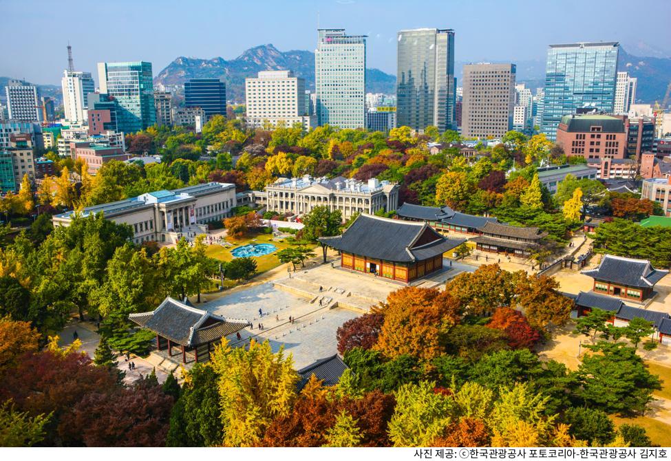 덕수궁 돌담길 데이트 코스 추천｜입장료·관람시간·야간개장 및 사진 스팟 포토존 위치