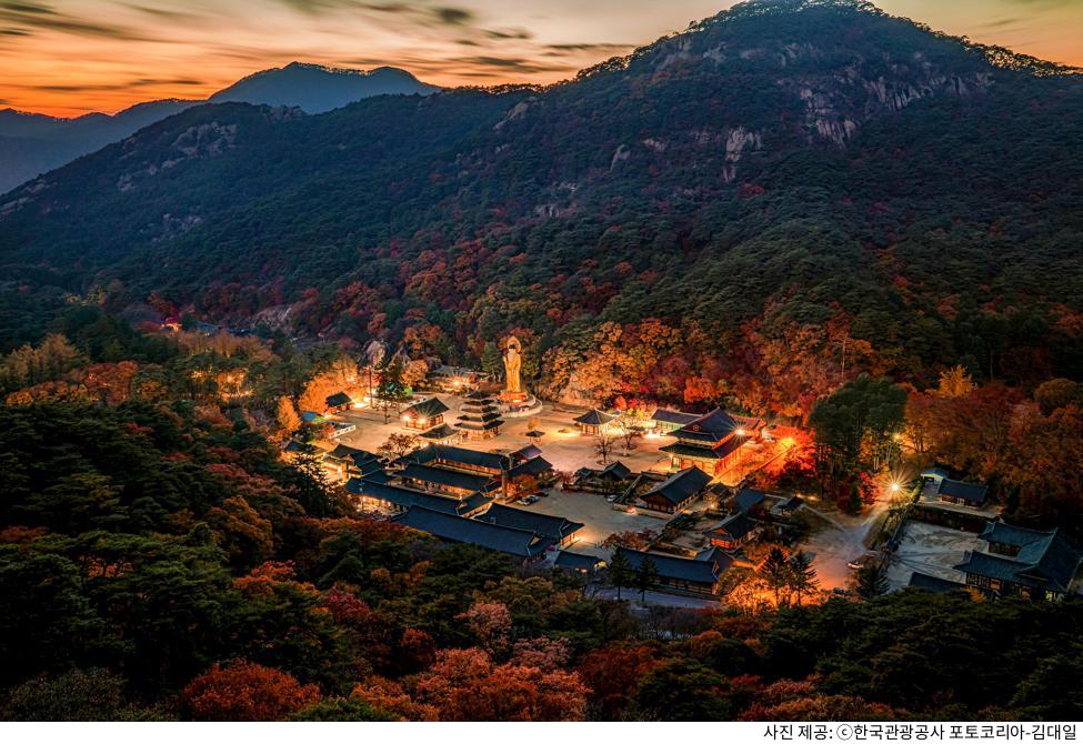 보은 법주사 가족 여행 추천 코스｜팔상전 목탑·대웅보전 필수 관람·주차장 위치·템플스테이 예약 방법