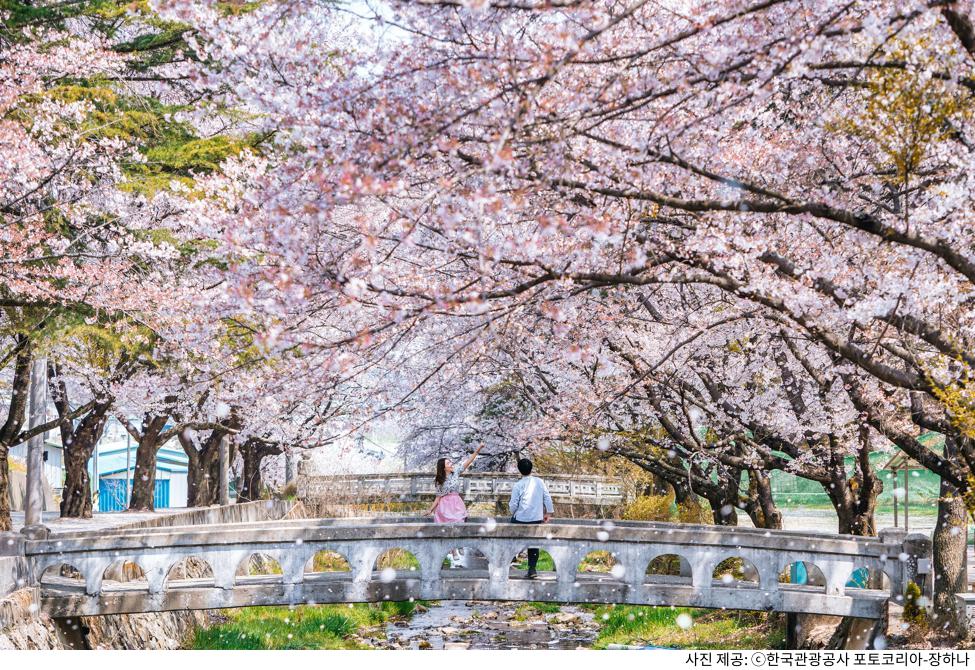 봄에 꼭 가야 할 4월 국내 여행 코스 추천|벚꽃 시즌 절정 명소 & 한적한 힐링 여행지 봄에 꼭 가야 할 4월 국내 여행 코스 추천|벚꽃 시즌 절정 명소 & 한적한 힐링 여행지
