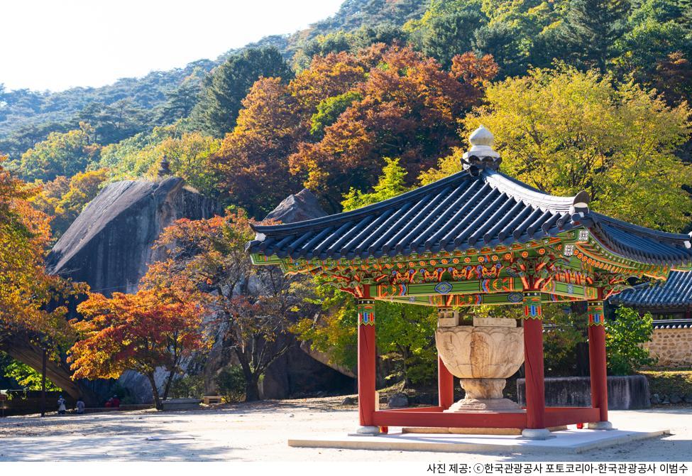 보은 법주사 가족 여행 추천 코스｜팔상전 목탑·대웅보전 필수 관람·주차장 위치·템플스테이 예약 방법