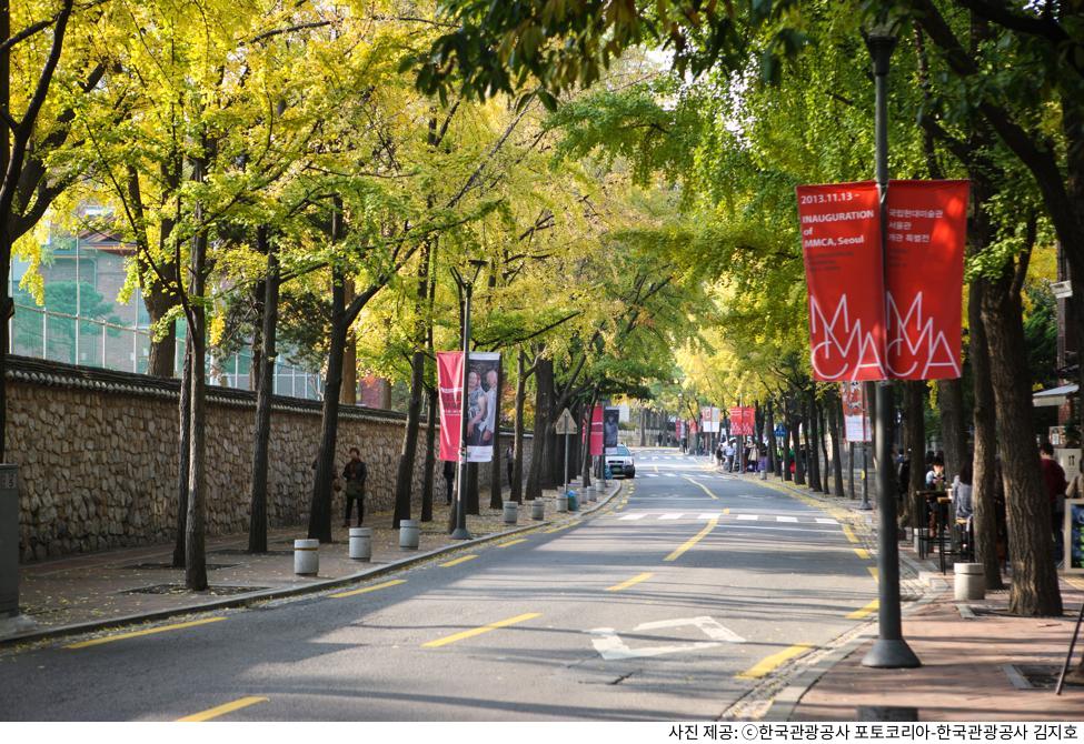 덕수궁 돌담길 데이트 코스 추천｜입장료·관람시간·야간개장 및 사진 스팟 포토존 위치