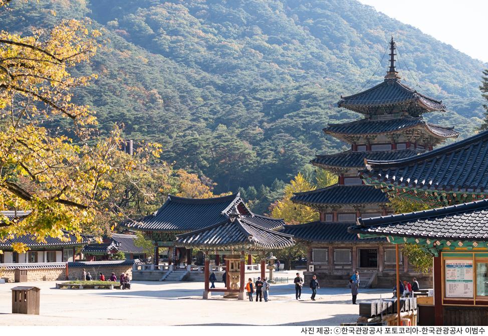 보은 법주사 가족 여행 추천 코스｜팔상전 목탑·대웅보전 필수 관람·주차장 위치·템플스테이 예약 방법