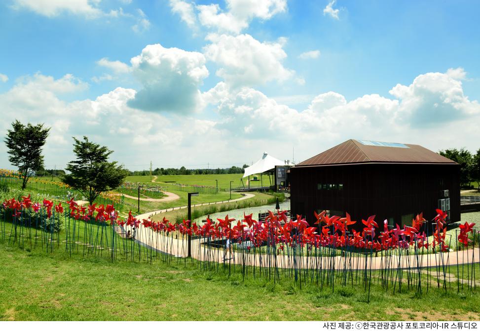 파주 임진각 평화누리공원 여행 코스|곤돌라 이용요금·입장료·주차장 위치·애견동반 규정·해돋이 명당 총정리 파주 임진각 평화누리공원 여행 코스|곤돌라 이용요금·입장료·주차장 위치·애견동반 규정·해돋이 명당 총정리