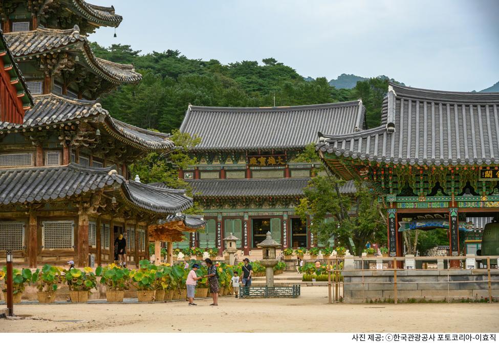 보은 법주사 가족 여행 추천 코스｜팔상전 목탑·대웅보전 필수 관람·주차장 위치·템플스테이 예약 방법