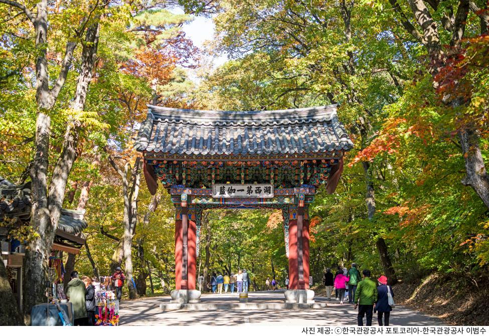 보은 법주사 가족 여행 추천 코스｜팔상전 목탑·대웅보전 필수 관람·주차장 위치·템플스테이 예약 방법