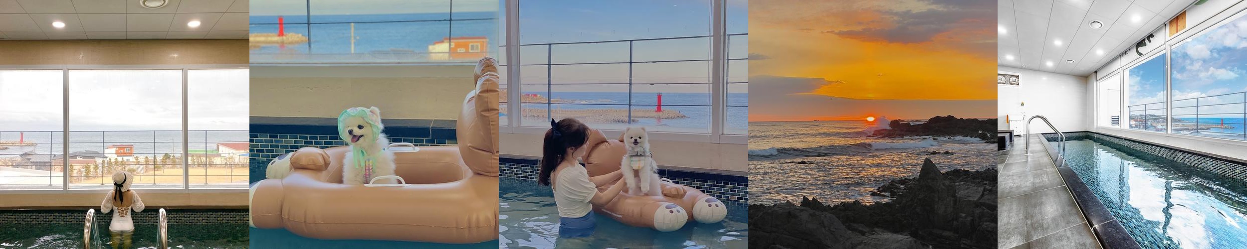 포항 펜션 베스트 추천 리스트 TOP 10 포항 펜션 베스트 추천 리스트 TOP 10