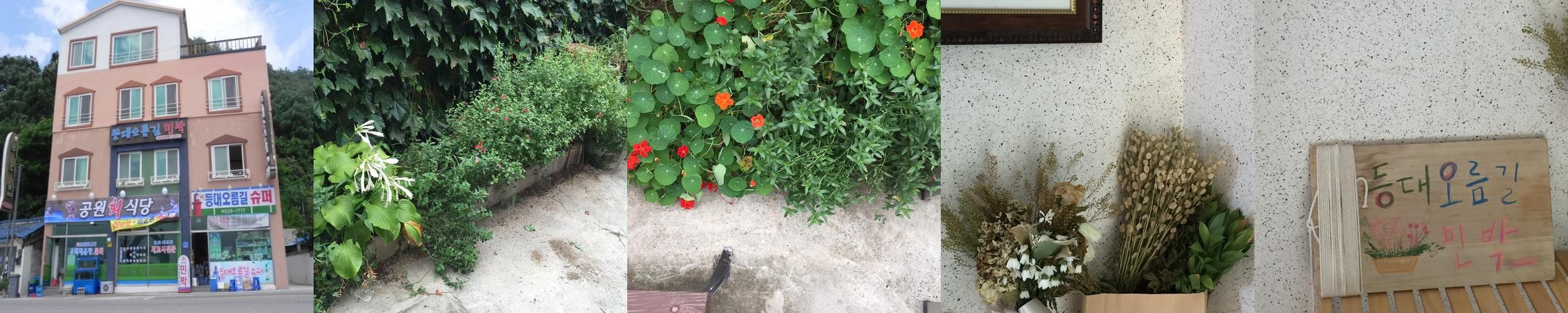 묵호항 숙소 베스트 추천 리스트 TOP 10