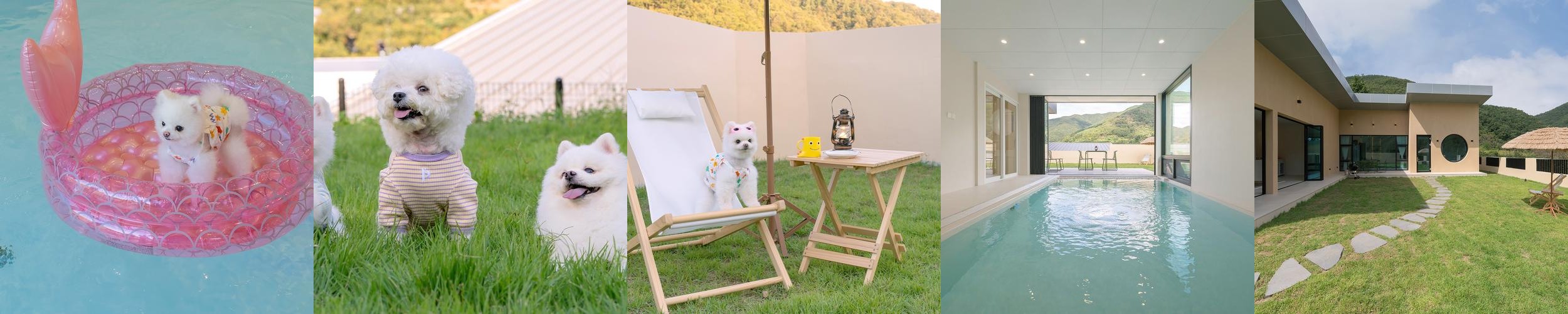 청도 펜션 베스트 추천 리스트 TOP 10