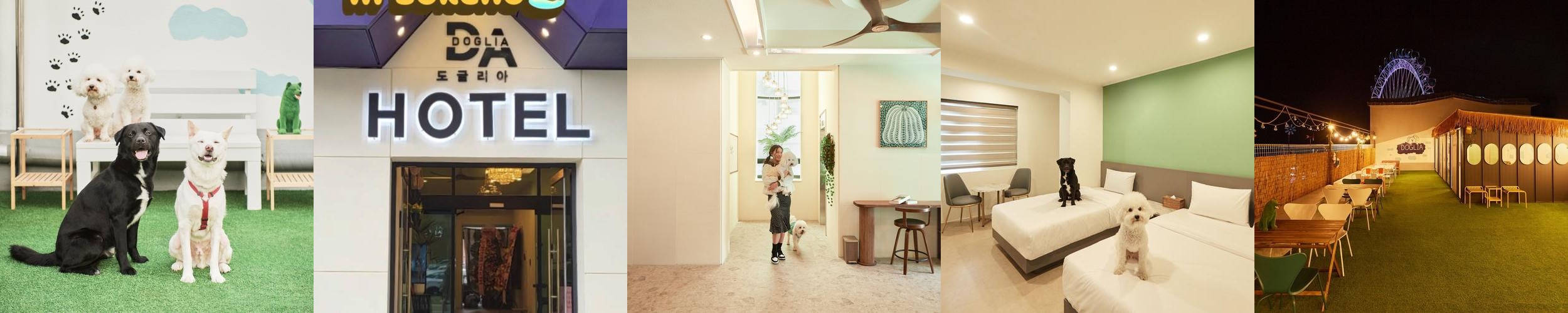 속초 애견동반 숙소 베스트 추천 리스트 TOP 10