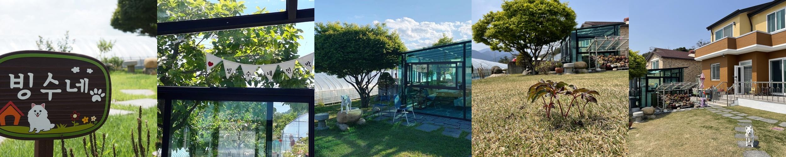 속초 애견동반 숙소 베스트 추천 리스트 TOP 10