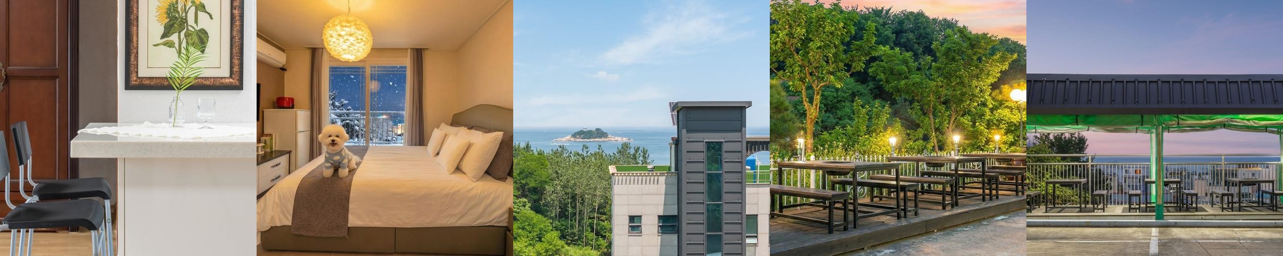 속초 애견동반 숙소 베스트 추천 리스트 TOP 10