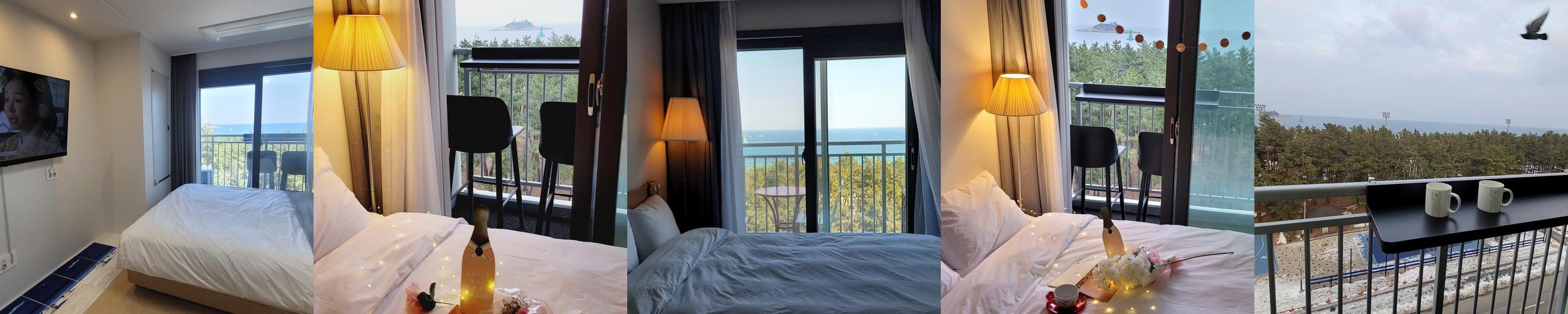 속초 애견동반 숙소 베스트 추천 리스트 TOP 10