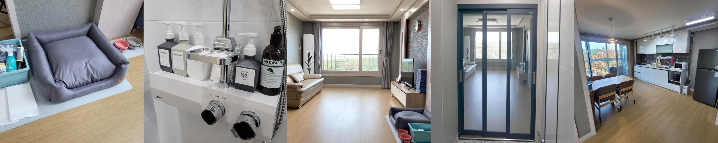 속초 애견동반 숙소 베스트 추천 리스트 TOP 10