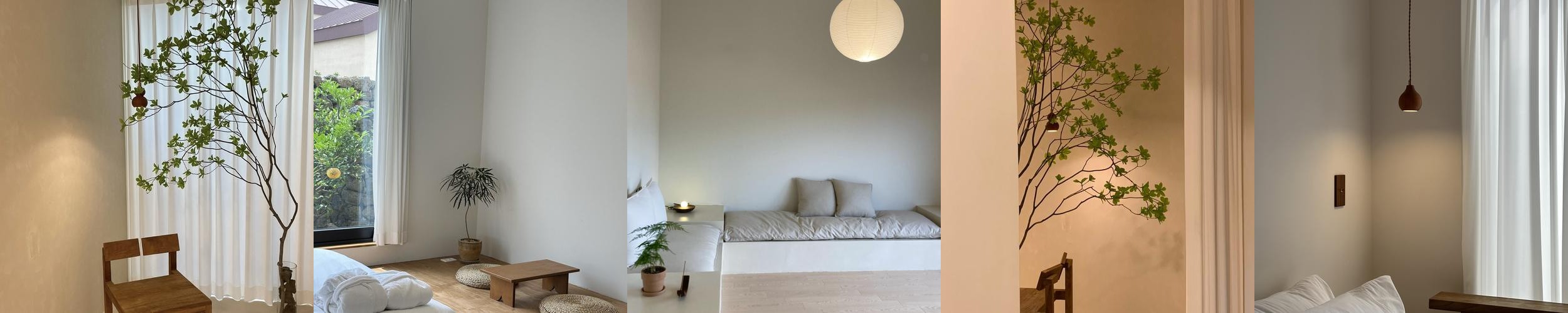 제주도 애견동반 숙소 베스트 추천 리스트 TOP 10